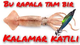 fosforlu olta ucu ile kalamar avı. ( Fishing squid with a fluorescent hook.)