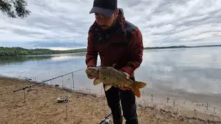 Карп на 2 кило Feeder fishing