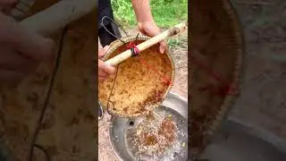 ចាក់អង្រ្កងធ្វើម្ហូប ឆាសាច់គោក្រសាំងទាបអង្រ្កង។ Fried beef with Red Ants and Watercress.