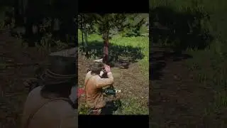 dumb ways to die💀 | part 2 - cougar attack #shorts #gaming #rdr2