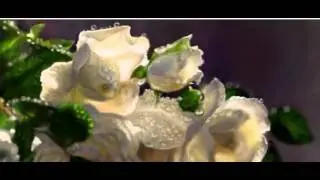Живое граффити 