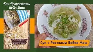 Как Прорастить Ростки Бобов Маш Дома и Суп с Ростками Бобов Маш Рецепт Mung Bean Sprouts Soup Recipe