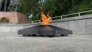 А превратились в белых журавлей