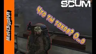 Что ты такое? О_о Подборка моментов SCUM