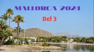 MALLORCA 2024 Del 3 @thisisbig-o