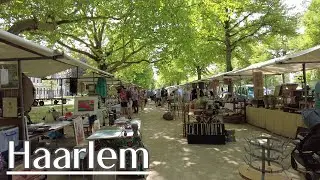 Walking in Haarlem - Antiques Market & Haarlemmerhout, the Netherlands 2022 | 4K