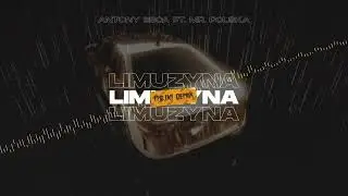 Antony Esca, Mr. Polska - Limuzyna (Majki Remix)