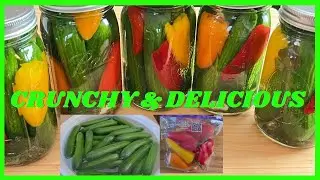 How to Make Delightfully Crunchy  and Delicious Crispy Cucumbers Pickles Recipe aged for generations