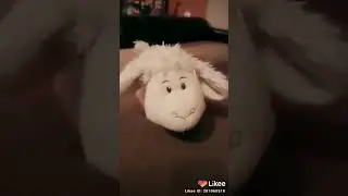 Блогер Тая