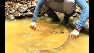 казалось как казалось как казалось 