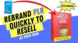 Rebrand PLR Quickly to Resell as Your Own