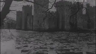Михаил Новохижин - Если старый пёс уснул, не буди его