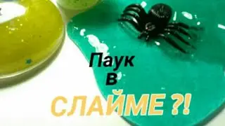 Паук в слайме?! Распаковка слаймов