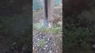Петарда VS Кусок дерева