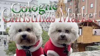 Cologne Christmas Market 2022