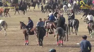 АБРОР ПОЛВОН ҚЎҚОНДАН НАРИМОН АКАНИНГ ТУМОР ЛАҚАБЛИ ТУЛПОРИДА. ОХАНГАРОН ГАЛАҚУДУҚ 26.10.2024