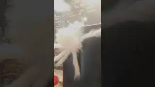 Тюмень, Энергостроителей 27