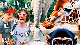 HILARIOUS Animal JOKES at Amsterdam Royal Zoo