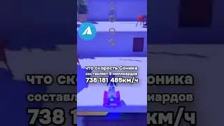 WHAT'S SONIC THE HEDGEHOG'S MAXIMUM SPEED? 
