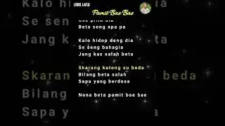 Lirik Lagu Pamit Bae Bae#karaoke #karaokeliric #liriklagu #songlyrics