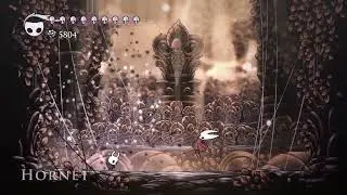 Beating Hornet until Hollow Knight: Silksong comes out.Day 852.