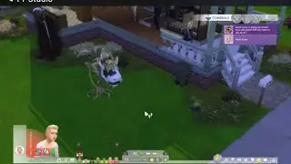 Sims 4 I made sims died from cowplant