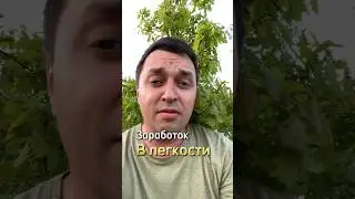 Существуют ли заработки в легкости? Нет это не более тупой миф. Урок закреплен в шортс. Читкод 5