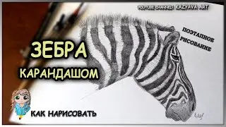 Как нарисовать голову ЗЕБРЫ карандашом. Поэтапное рисование