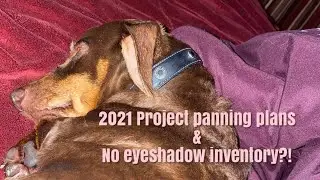 2021 Panning Plans & No Eyeshadow Inventory?! What?!