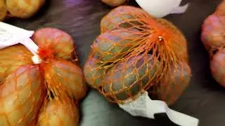 Покупка семенного картофеля. Флос