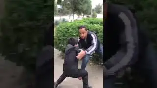 сигун 