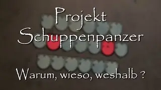 DIY Projekt Schuppenpanzer aus Sperrholz - Einführung