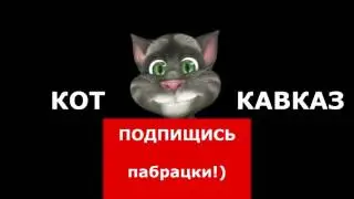 Кот Кавказ   Три в одном 13