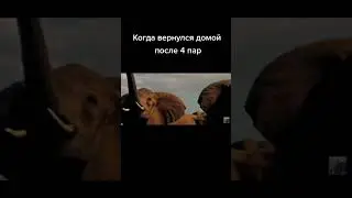 Мемы по ТикТоку #980
