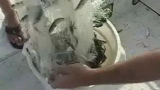 🎣😅 Cast Net Fail: Epic Blooper Reel - When Mesh Size Goes Wrong! 🚫🐟