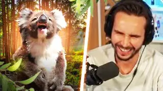 CES ANIMAUX SONT INCROYABLES ! (REACT animaux)