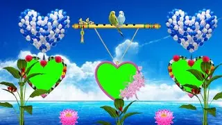 wedding green background screen effect hd video wedding green screen effects 4k
