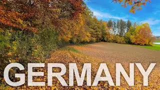 Walking in German Countryside + Forest in Autumn [4K]