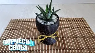 Оригинальный подарок своими руками из кокоса. Рукоделие. Поделки✔️Planter DIY