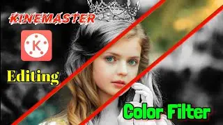 Photo Color Filter Editing | Kinemaster Editing | Picture Color Filter Editing