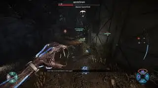 Evolve: Kala vs Gorgon