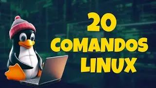 Comandos BÁSICOS en LINUX - TodoScript #1