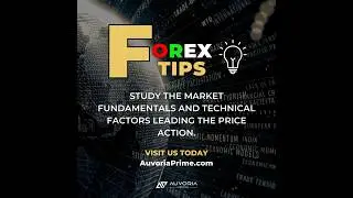 Auvoria Prime, Forex Tips #auvoriaprime  #forextrading #investment #tradingtips