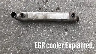 Heavy Duty Diesel Engine 101 Episode 5: EGR Cooler.