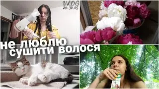 VLOG: Дуже сильно не люблю сушити волося👩 | Нарвала піонів🌺 | Я знервована😐 | Dana Kolesnik