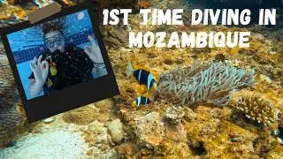 Having A Panic Attack At The Bottom Of The Ocean!