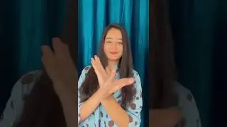 Filp it like a flipagram🧿🙌|Animal Party💁🏻| 