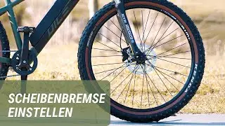 Scheibenbremse einstellen | Prophete