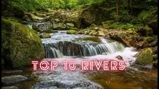 Top 10 Longest Rivers In The World