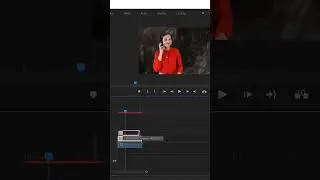 How To Add Adjustment Layer In Premiere Pro ? 